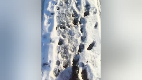 A video captures a snow-covered footpath with deep, uneven snow prints, suggesting recent human activity. The background is a smooth, light-colored surface, possibly ice, contrasting with the textured, white snow. The scene is serene and wintry.