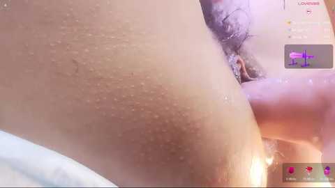 youth3_ free recording from 2026-01-18 03:33:00