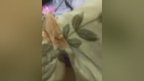 A close-up video of a person's genitals partially covered by a white cloth with green leaf patterns, taken in a dimly lit room. The image is slightly blurred and grainy, making details hard to discern.