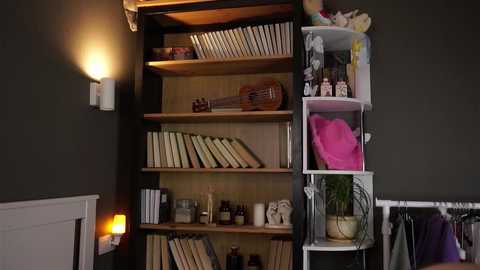 darylbarks free recording from 2026-01-19 00:01:00