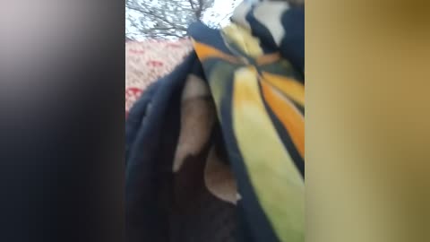 na_shreya free recording from 2026-01-19 01:33:00