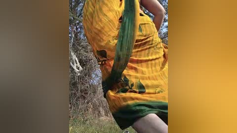 Video of a person wearing a vibrant yellow and green sari, with a green strap diagonally across their chest, standing outdoors in a grassy area with leafless trees in the background.
