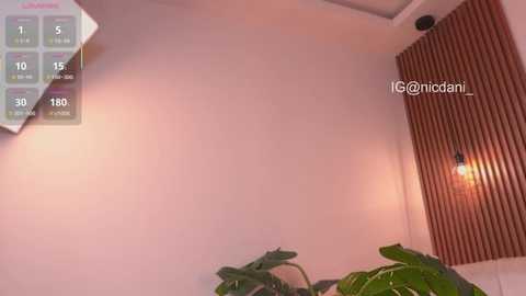 nicdani_1 free recording from 2026-01-19 00:09:00