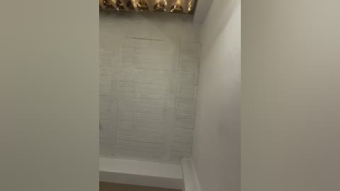 aly_golden_ free recording from 2026-01-20 02:03:00