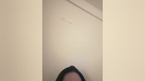 Media: A video of a beige wall with a small, indistinct black object at the top center. The bottom edge of the image shows a person's head and shoulders in dark clothing, partially obscured.