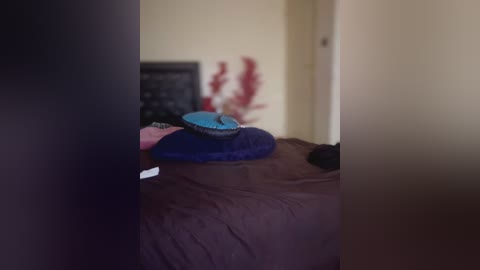 doctoor_maya free recording from 2026-01-21 00:54:00