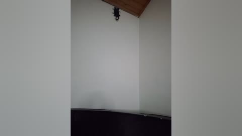 Media: Video of a minimalist, empty corner in a room with off-white walls, a small, dark TV at the bottom, and a wooden ceiling. The scene is devoid of furniture, and the lighting is dim, creating a sparse, uncluttered atmosphere.