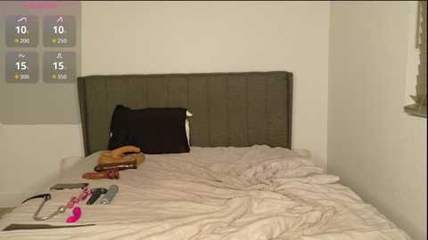 misscatxo free recording from 2026-01-20 02:03:00