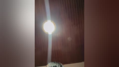 sofia_collins_ free recording from 2026-01-20 00:05:00