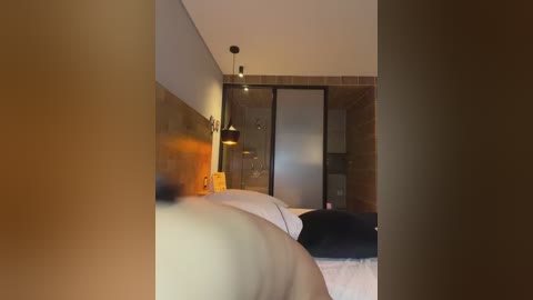 zui_lu free recording from 2026-01-20 00:05:00