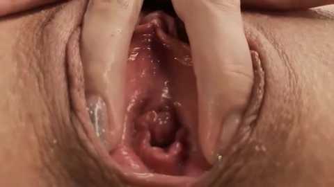 __miray__ free recording from 2026-01-21 00:54:00