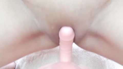 asahi_hime_69 free recording from 2026-01-21 00:02:00