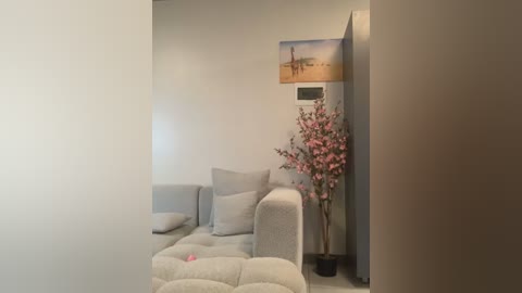 curvydesire1 free recording from 2026-01-21 00:54:00