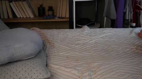 darylbarks free recording from 2026-01-21 00:54:00