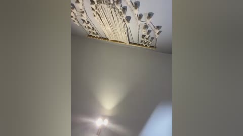 irish_collins free recording from 2026-01-21 00:20:00