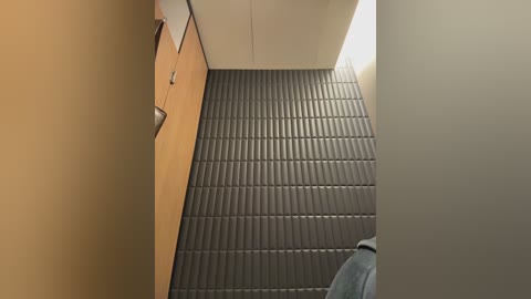 lucy_joy free recording from 2026-01-21 00:02:00