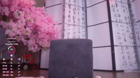 marry_cordy free recording from 2026-01-21 00:01:00