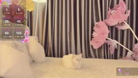 __102kymmiiss__ free recording from 2026-01-23 00:00:00