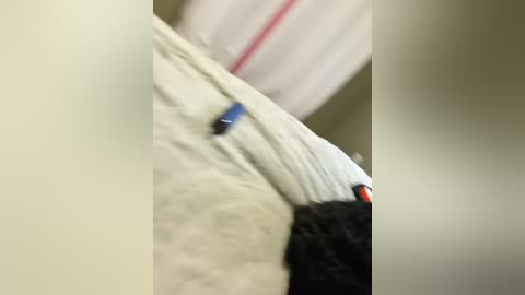 ellieenchantress free recording from 2026-01-22 00:58:00