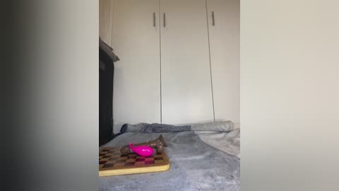 incognitobdy free recording from 2026-01-22 00:14:00