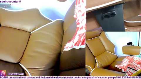 marybrook1 free recording from 2026-01-22 00:22:00