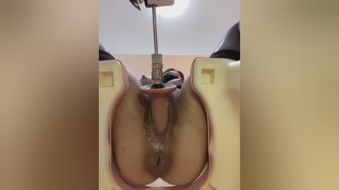 nicole77_baby free recording from 2026-01-22 00:07:00