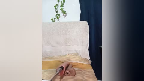 Media: Video of a baby lying on a yellow-striped mat, with a white towel draped over it, in a room with a green ivy plant hanging from a white wall.
