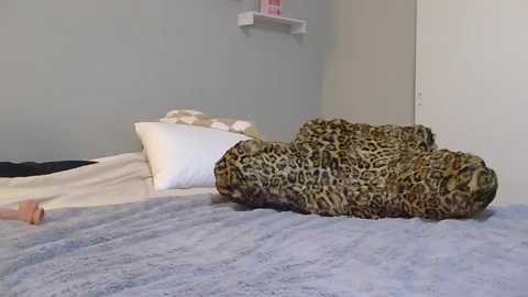 alex_callmemaybe free recording from 2026-01-24 00:16:00