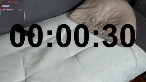 Video of a beige couch with a beige pillow, overlaid with large, bold black text \"00:00:30\" indicating a timer. Background includes a computer screen displaying a game interface with text \"LOL 5v5\" and a \"Win or Lose\" option.