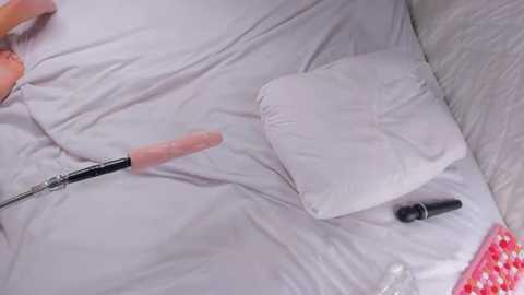 dakota_blare free recording from 2026-01-23 00:03:00