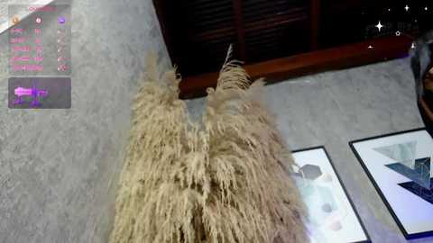 lena_helleen free recording from 2026-01-23 00:03:00