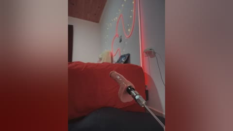 antonellastrip_ free recording from 2026-01-24 06:55:00