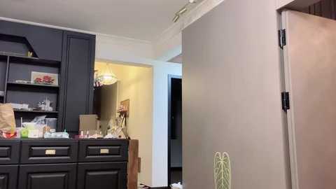 celestisse_ free recording from 2026-01-24 06:55:00