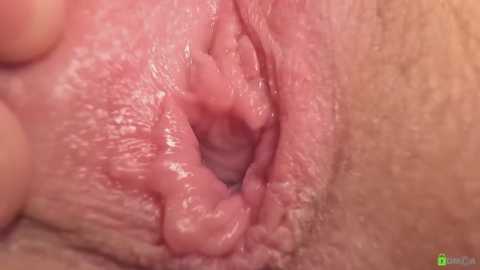Close-up video of a human vulva, showing the inner labia, clitoral hood, and surrounding skin with visible pores and texture.
