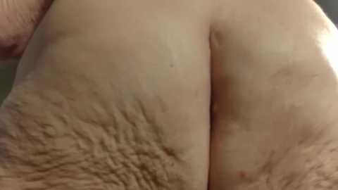 hornylouisewil free recording from 2026-01-24 00:21:00