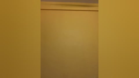 Video of a narrow, yellow-painted corridor with a slightly reflective wall surface, featuring a subtle, diagonal shadow near the top, possibly from a ceiling light. The corridor appears empty, creating an eerie, slightly claustrophobic atmosphere.