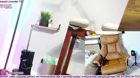 marybrook1 free recording from 2026-01-24 00:21:00