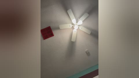 myhoneyfrida free recording from 2026-01-24 06:55:00