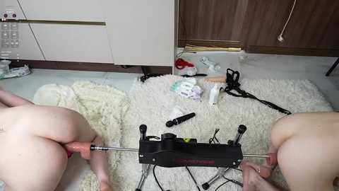 rakses2 free recording from 2026-01-24 03:20:00