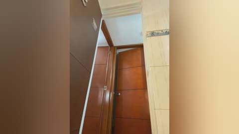 Video of a narrow, beige-walled hallway with a brown wooden door slightly ajar, showcasing a glimpse of a cream-colored tiled floor. The door's hinges are visible, and the lighting is soft and ambient, creating a serene atmosphere.