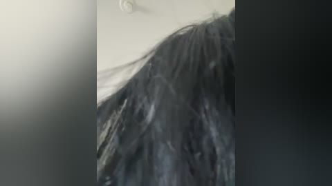 cecilia0o free recording from 2026-01-27 00:58:00