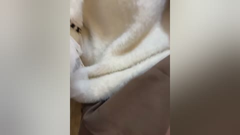 clinic_sexy free recording from 2026-01-25 00:40:00