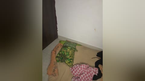 Video of a dimly lit room showing a corner with beige carpet, a green pillow, and a pink plaid blanket. The room has white walls and a brown door, and a black garment lies on the carpet.