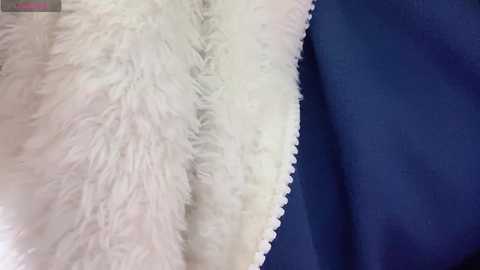 Video of two contrasting fabrics: fluffy white faux fur on the left, smooth navy blue fabric on the right, separated by a small seam.