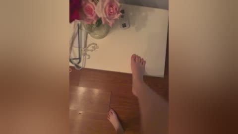 tevdka free recording from 2026-01-25 00:22:00