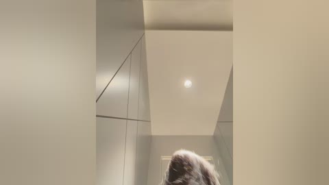 Video of a modern, minimalist room with soft beige walls, a sleek ceiling light, and a person with long, brown hair seen from behind.