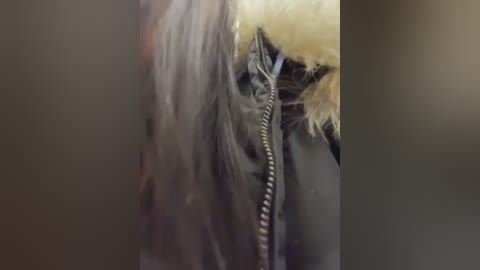 Video of a close-up of a person's shoulder, wearing a dark green jacket with a fur-trimmed hood. The background is blurred, creating a soft focus effect. The texture of the jacket appears thick and cozy.