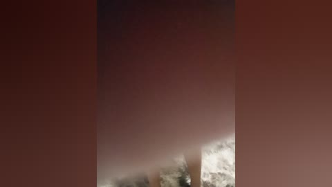 A video of a foggy landscape, featuring a tall, dark, vertical structure partially obscured by dense fog, creating an eerie, mysterious atmosphere. The image has a reddish-brown background.