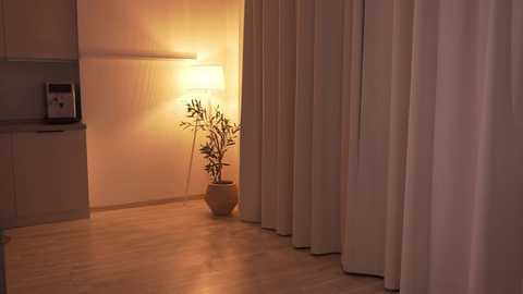 A minimalist, warmly-lit modern apartment interior featuring a tall, white floor lamp, a tall potted bamboo plant, and light-colored wooden floors.