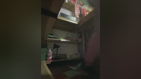 lannabellx free recording from 2026-01-26 00:35:00